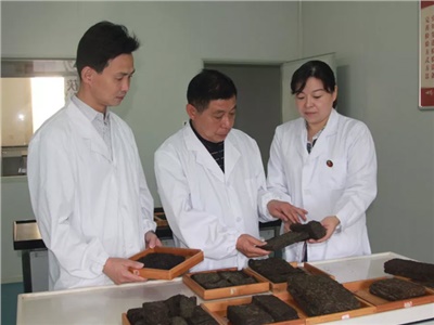 傳承茯茶非遺技藝、開(kāi)拓創(chuàng)新引領(lǐng)行業(yè)發(fā)展